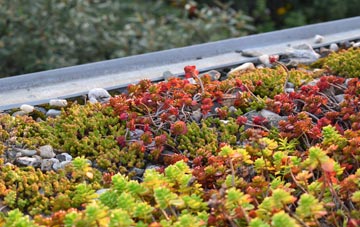 the cost of Llangadog green roof installation