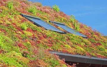 Llangadog living roof systems