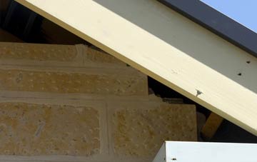 soffit repair Llangadog